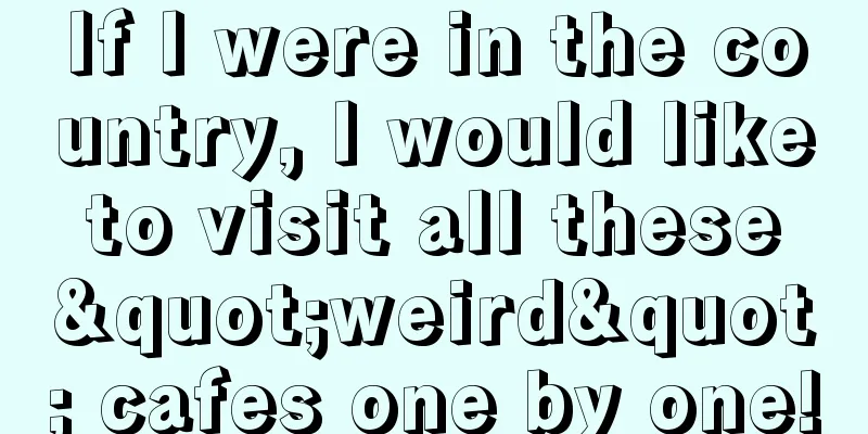 If I were in the country, I would like to visit all these "weird" cafes one by one!