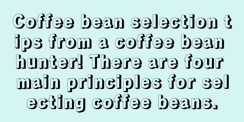 Coffee bean selection tips from a coffee bean hunter! There are four main principles for selecting coffee beans.