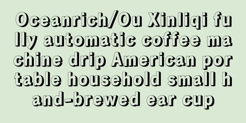 Oceanrich/Ou Xinliqi fully automatic coffee machine drip American portable household small hand-brewed ear cup
