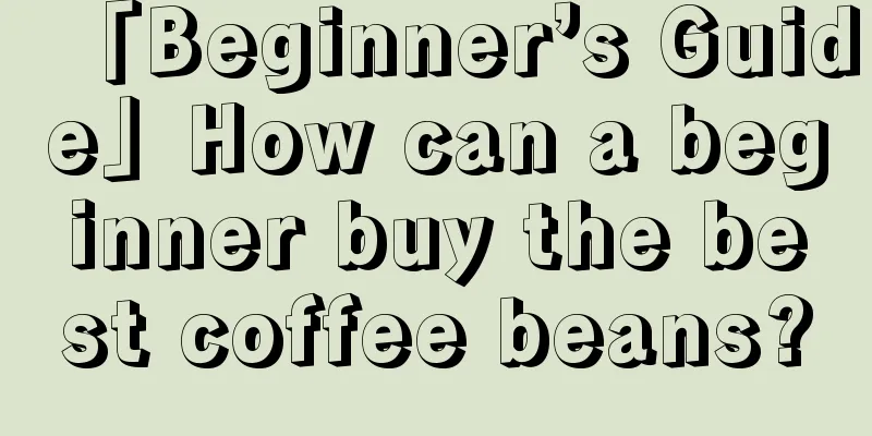 「Beginner’s Guide」How can a beginner buy the best coffee beans?