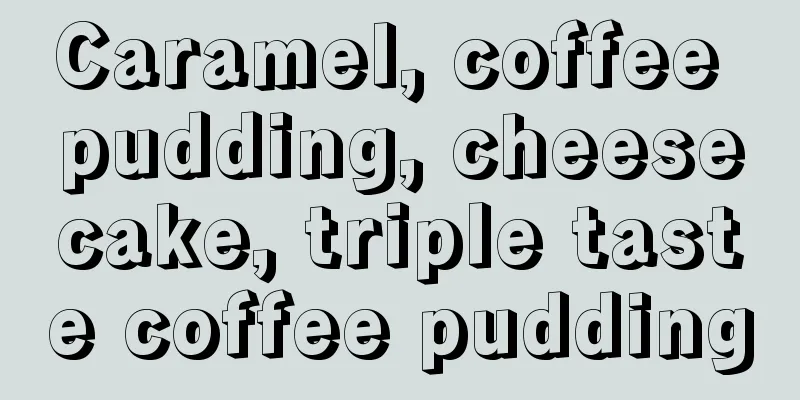Caramel, coffee pudding, cheesecake, triple taste coffee pudding
