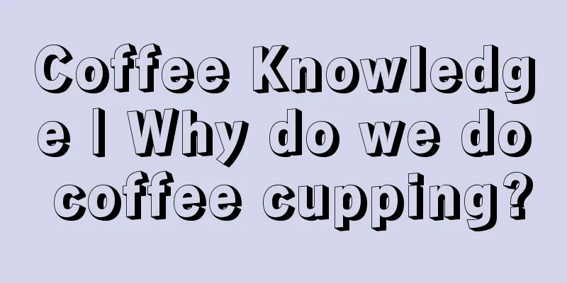 Coffee Knowledge | Why do we do coffee cupping?