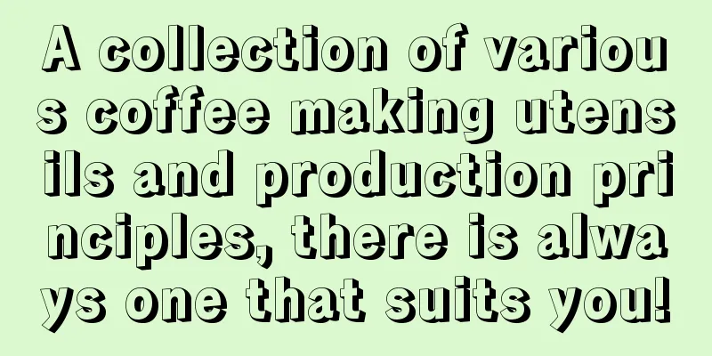 A collection of various coffee making utensils and production principles, there is always one that suits you!