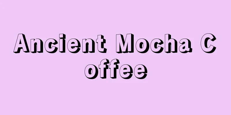Ancient Mocha Coffee