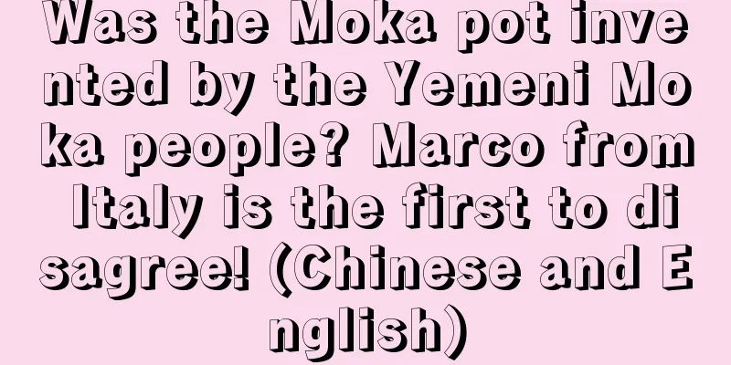 Was the Moka pot invented by the Yemeni Moka people? Marco from Italy is the first to disagree! (Chinese and English)
