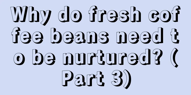 Why do fresh coffee beans need to be nurtured? (Part 3)