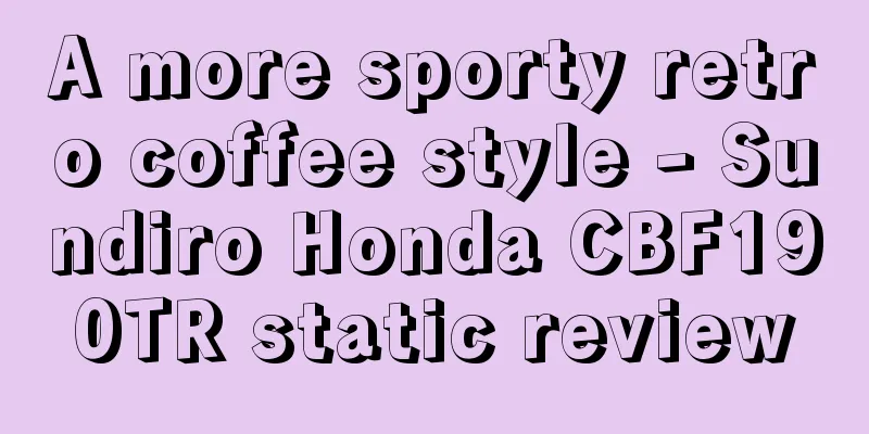A more sporty retro coffee style - Sundiro Honda CBF190TR static review