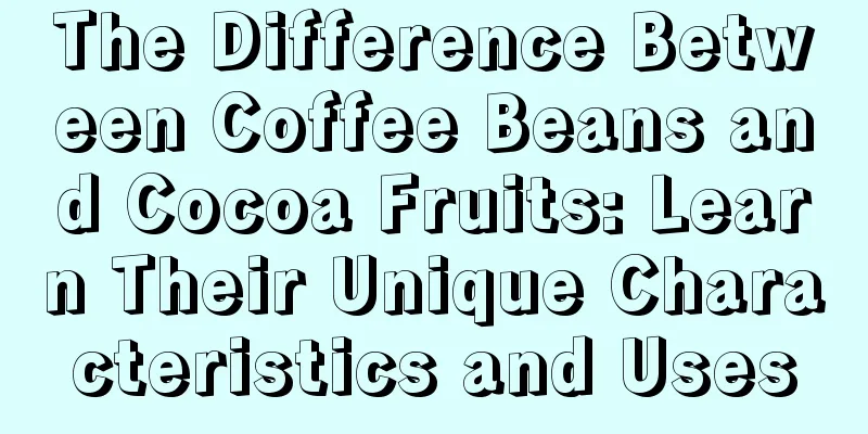 The Difference Between Coffee Beans and Cocoa Fruits: Learn Their Unique Characteristics and Uses