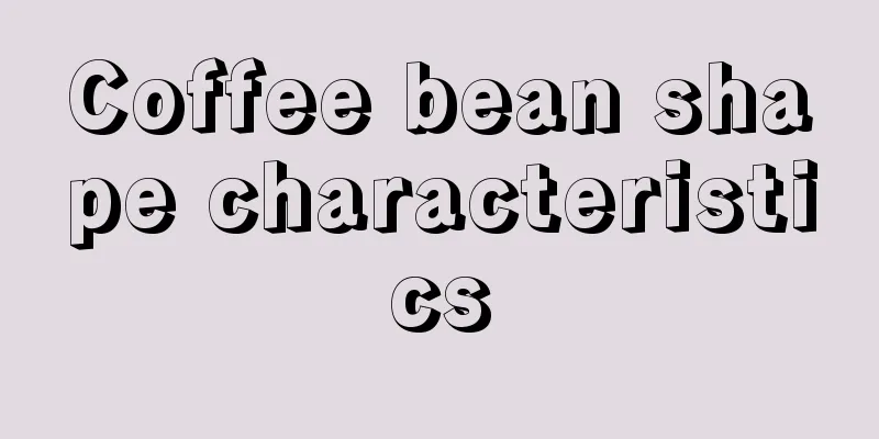 Coffee bean shape characteristics