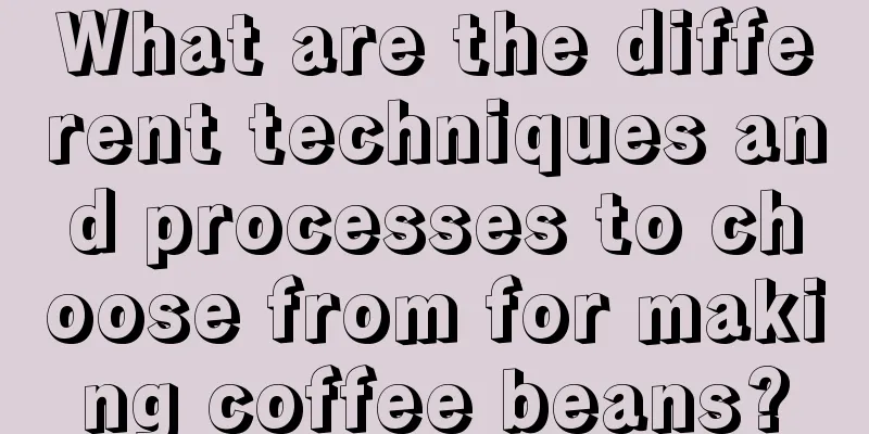 What are the different techniques and processes to choose from for making coffee beans?