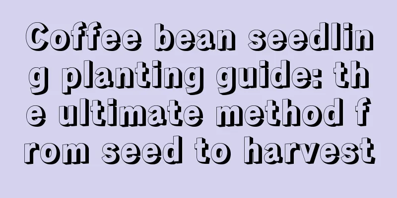 Coffee bean seedling planting guide: the ultimate method from seed to harvest
