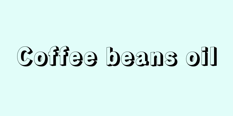 Coffee beans oil