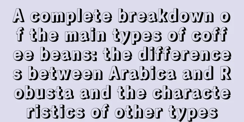 A complete breakdown of the main types of coffee beans: the differences between Arabica and Robusta and the characteristics of other types