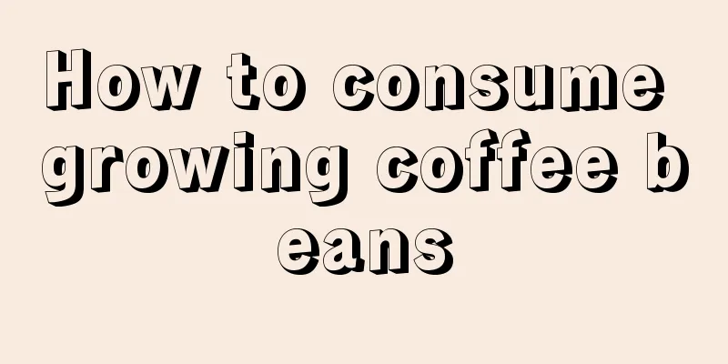 How to consume growing coffee beans