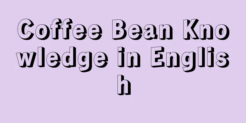 Coffee Bean Knowledge in English