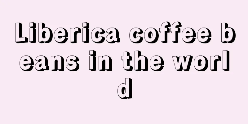 Liberica coffee beans in the world