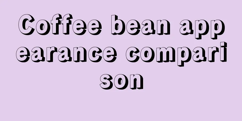 Coffee bean appearance comparison