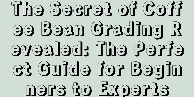 The Secret of Coffee Bean Grading Revealed: The Perfect Guide for Beginners to Experts
