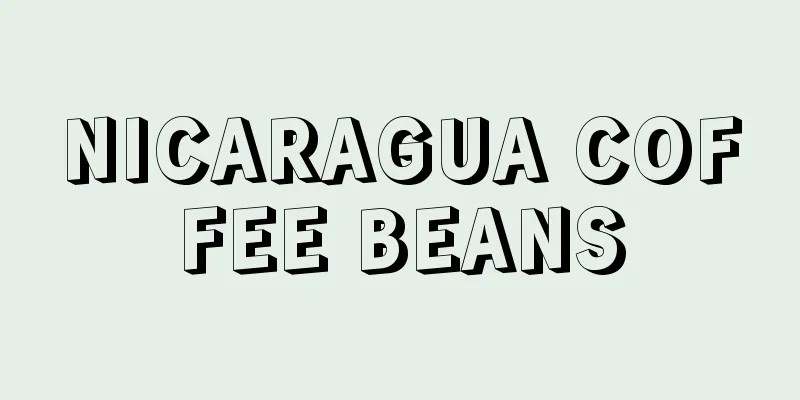 NICARAGUA COFFEE BEANS