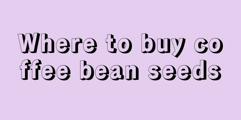 Where to buy coffee bean seeds