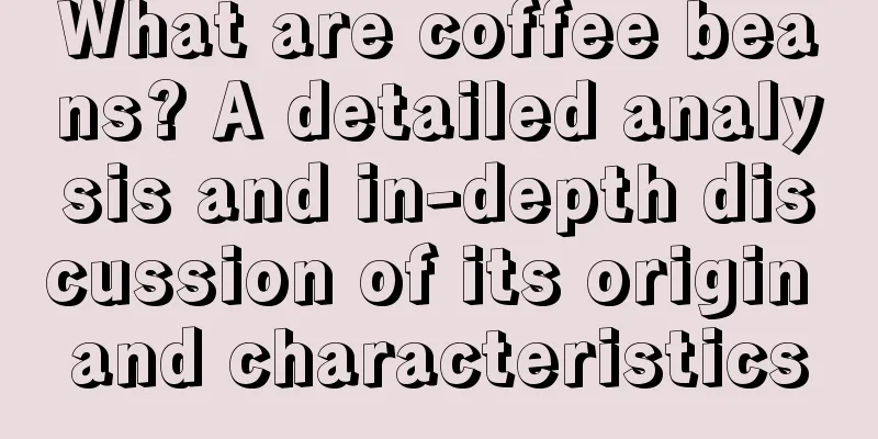 What are coffee beans? A detailed analysis and in-depth discussion of its origin and characteristics