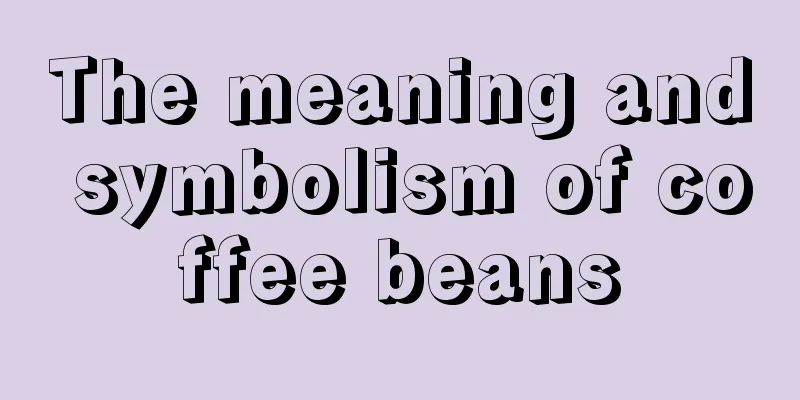The meaning and symbolism of coffee beans