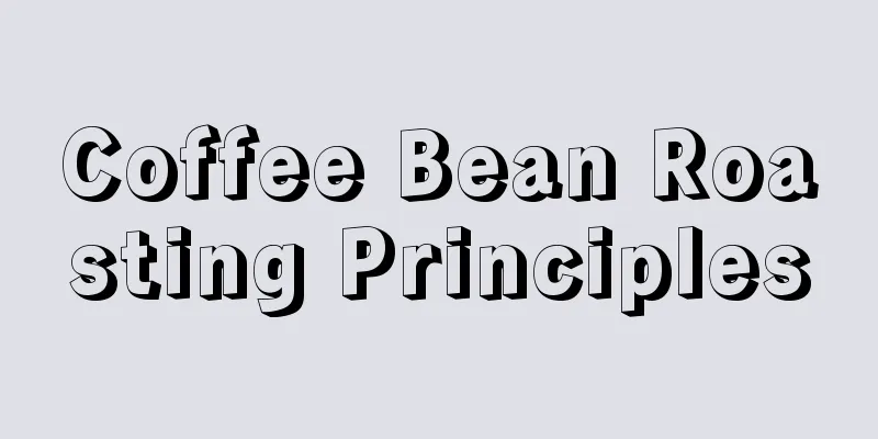 Coffee Bean Roasting Principles