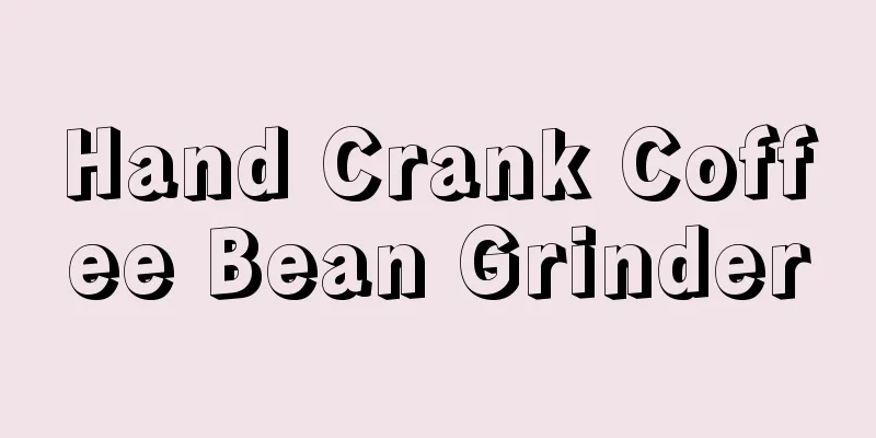 Hand Crank Coffee Bean Grinder
