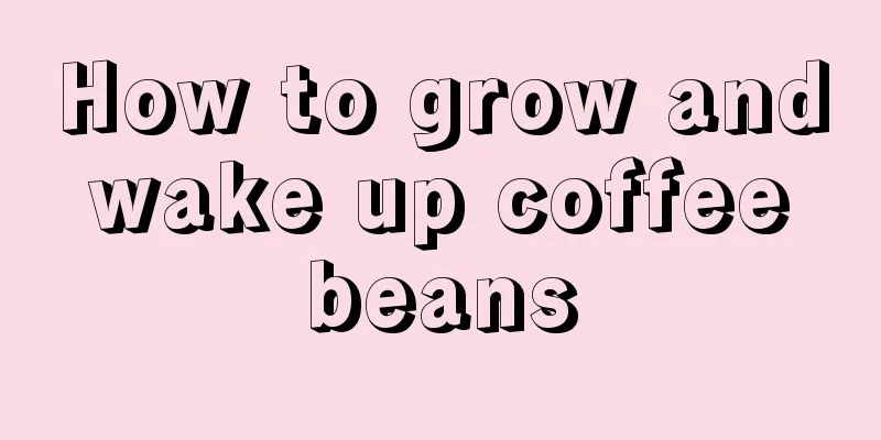 How to grow and wake up coffee beans