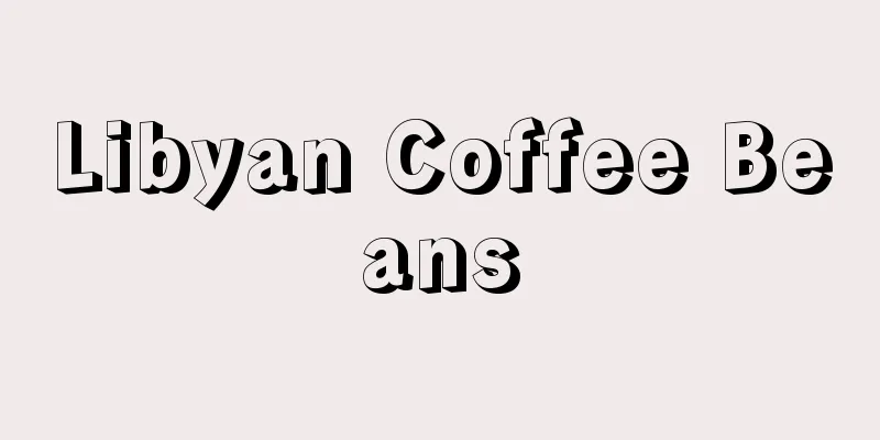 Libyan Coffee Beans