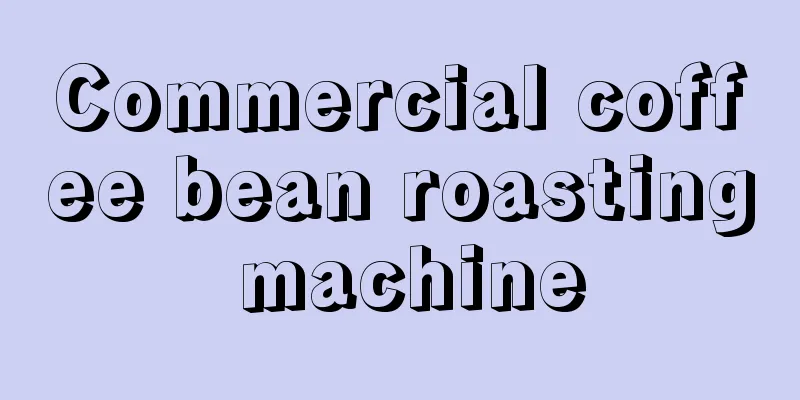 Commercial coffee bean roasting machine