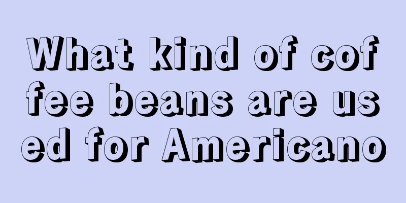 What kind of coffee beans are used for Americano