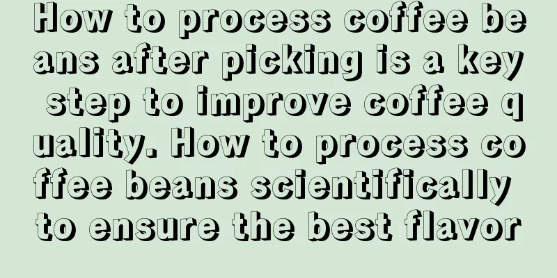 How to process coffee beans after picking is a key step to improve coffee quality. How to process coffee beans scientifically to ensure the best flavor