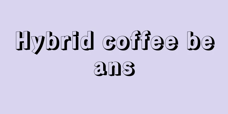 Hybrid coffee beans