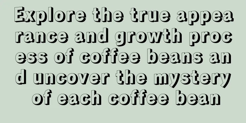 Explore the true appearance and growth process of coffee beans and uncover the mystery of each coffee bean