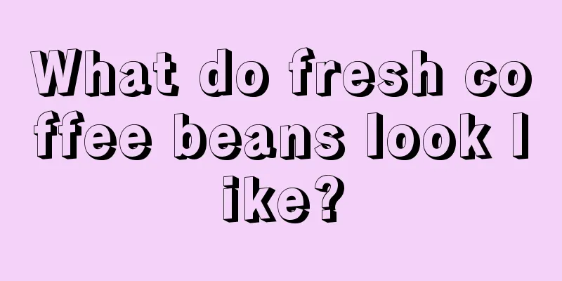 What do fresh coffee beans look like?