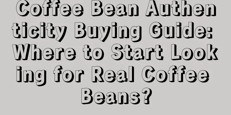 Coffee Bean Authenticity Buying Guide: Where to Start Looking for Real Coffee Beans?