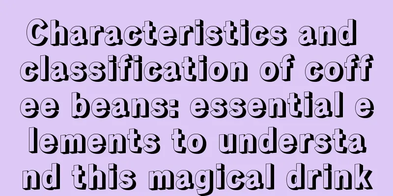 Characteristics and classification of coffee beans: essential elements to understand this magical drink