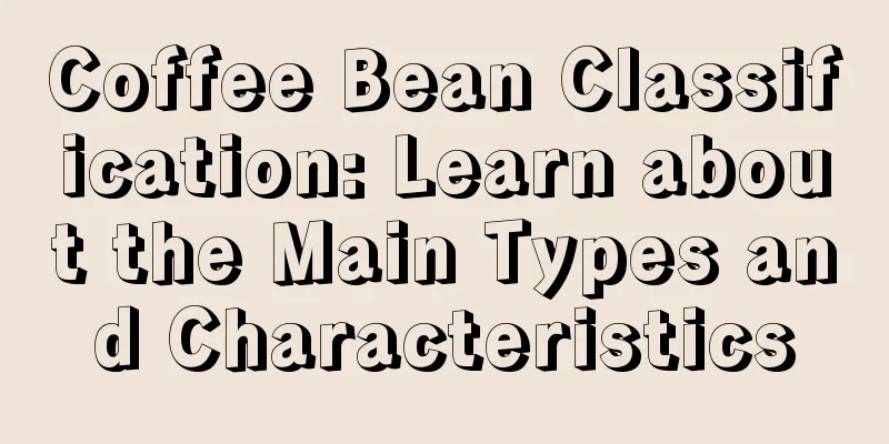 Coffee Bean Classification: Learn about the Main Types and Characteristics
