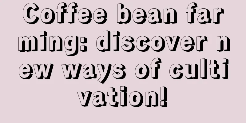 Coffee bean farming: discover new ways of cultivation!
