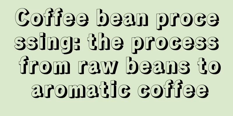 Coffee bean processing: the process from raw beans to aromatic coffee