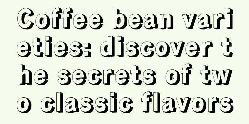 Coffee bean varieties: discover the secrets of two classic flavors