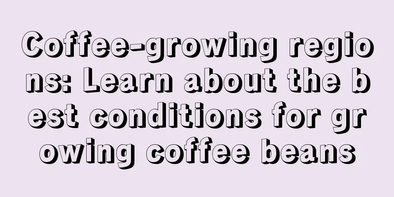 Coffee-growing regions: Learn about the best conditions for growing coffee beans