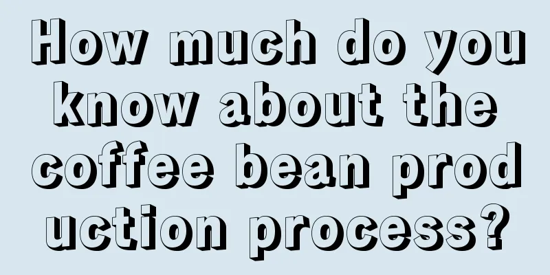 How much do you know about the coffee bean production process?