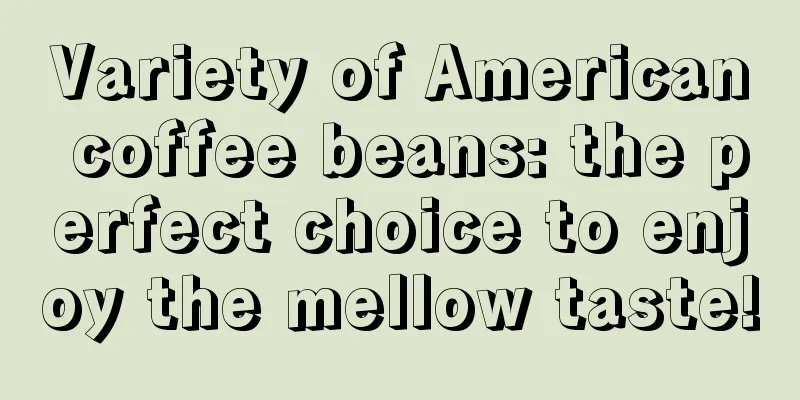 Variety of American coffee beans: the perfect choice to enjoy the mellow taste!