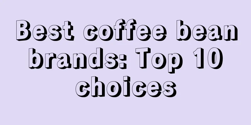 Best coffee bean brands: Top 10 choices