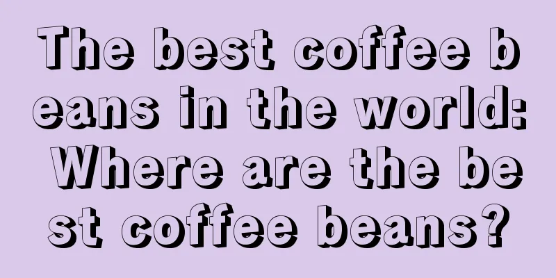 The best coffee beans in the world: Where are the best coffee beans?