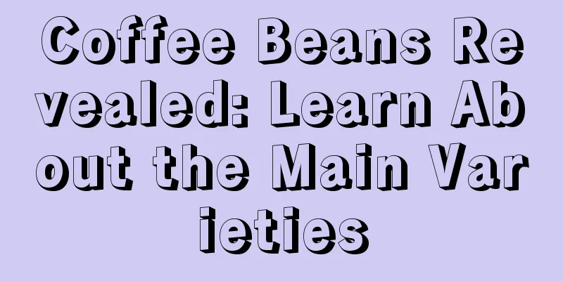 Coffee Beans Revealed: Learn About the Main Varieties
