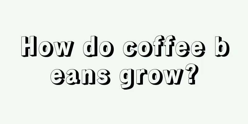 How do coffee beans grow?