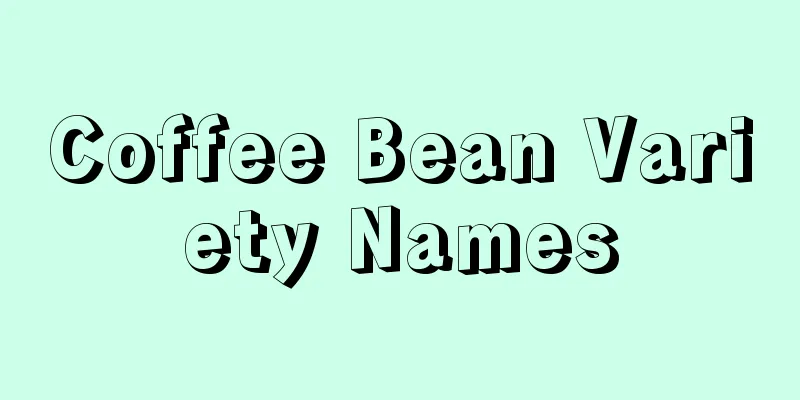 Coffee Bean Variety Names